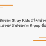สมาชิกของ Stray Kids มีใครบ้าง และเส้นทางเดบิวต์ของวง K-pop ชื่อดัง